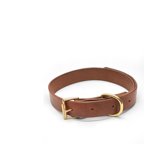 CA LEATHER KÖPEK DERİ BOYUN TASMASI 002