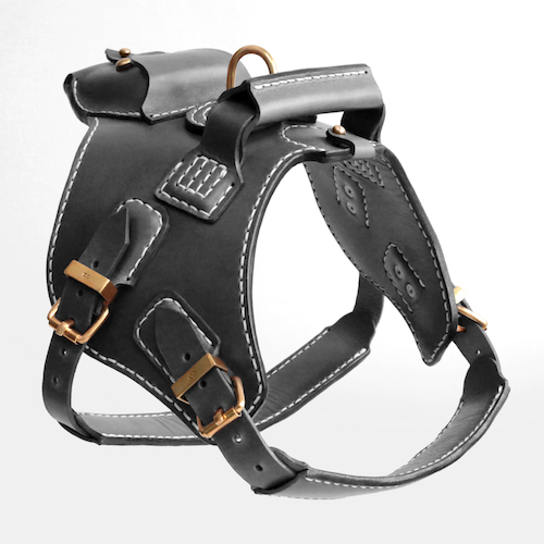 CA_Leather_Köpek_Deri_Vücut_Tasması_002_siyah